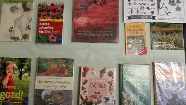 20150422_092454 - kopija